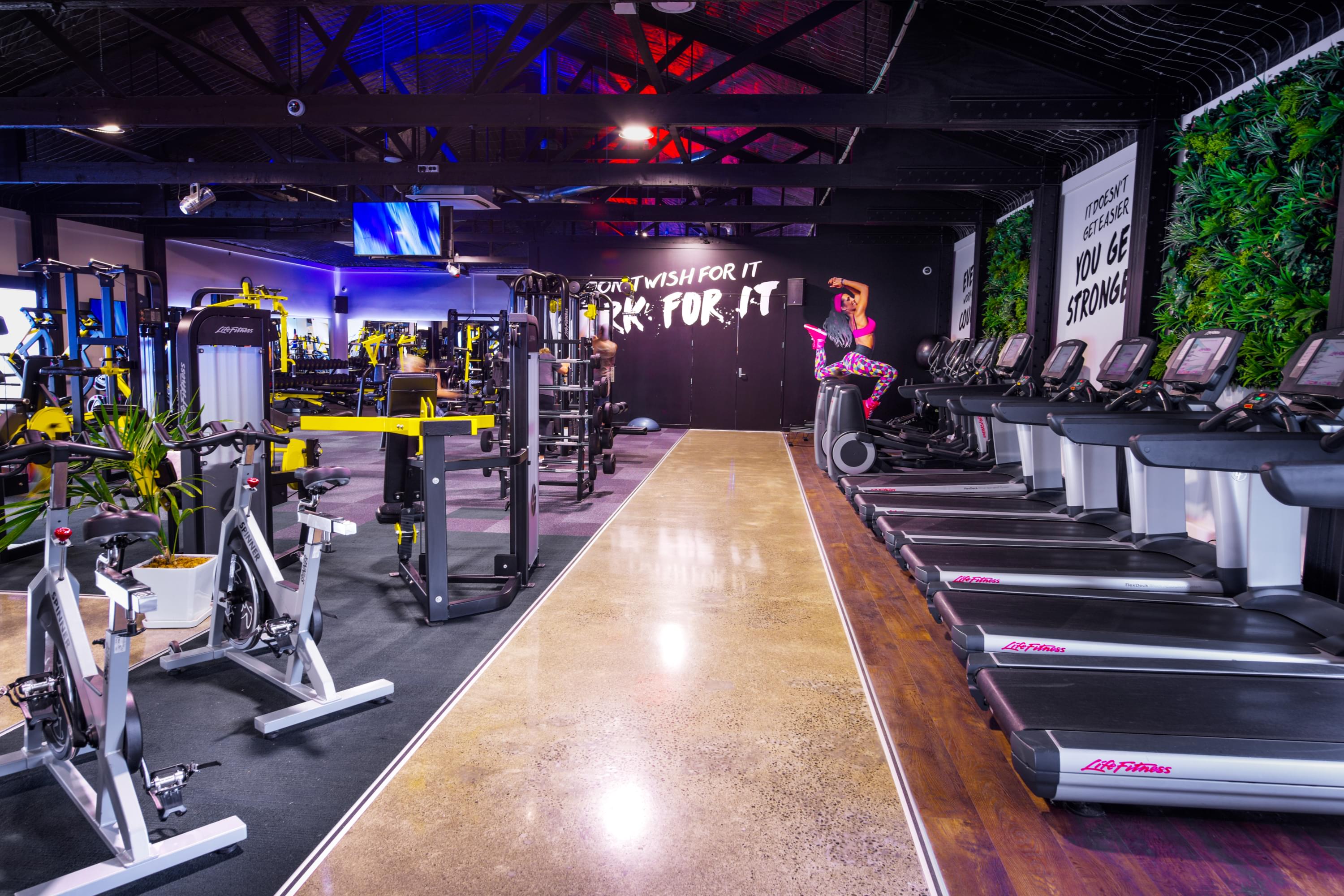 Flex Fitness Napier Pricing